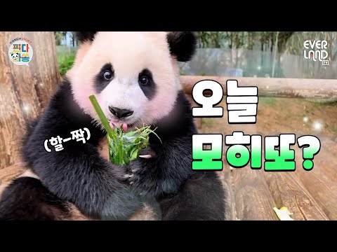 How about a Mojito at Bao๐