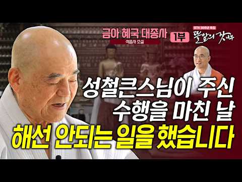 "10만배 수행이 끝나는 날, 너무 기쁜 나머지!하면 안되는 일을 했습니다" 나의 스승 일타,성철스님 뜰앞의 잣나무 19화 석종사 조실 금아 혜국대종사✨#혜국스님#준한스님