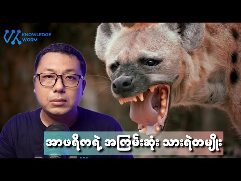 အာဖရိကရဲ့ အကြမ်းဆုံးသားရဲတွေထဲက တမျိုး သို့မဟုတ် ဟိုင်အီးနာ