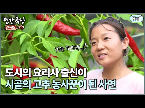 [인간극장🎬고추밭 자운 씨의 즐거운 우리집⭑Full] 🌶️ 영양에서 고추 농사 지으며 가족의 완성을 꿈꿔요 | KBS 방송