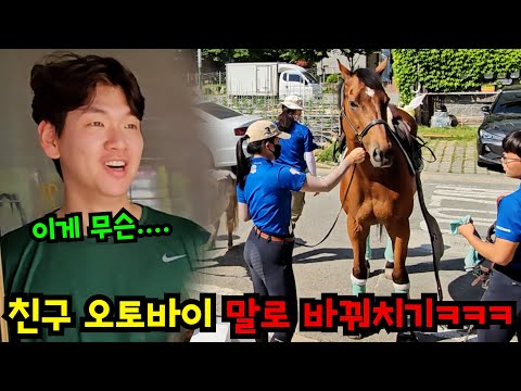 친구 오토바이 말이랑 바꿔치기ㅋㅋㅋ