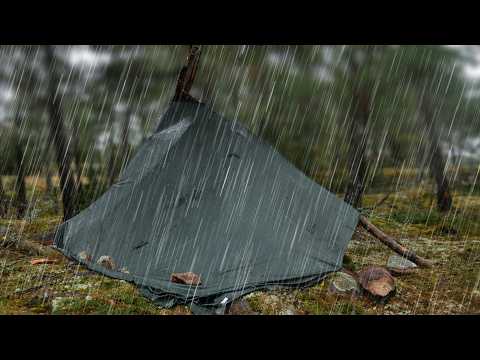 Tarp vs Rain - Camping Under a Tree in a Bushcraft Shelter