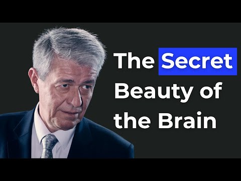 Your Brain Is a Universe – Dr. Karl Friston
