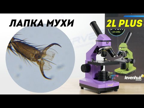 Микроскоп Levenhuk Rainbow 2L PLUS | ОБЗОР | ТЕСТ