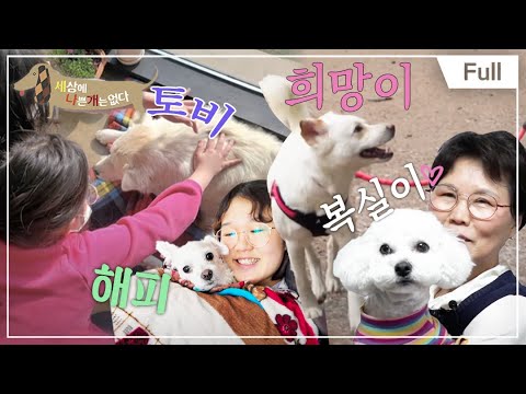 [Full] 세상에 나쁜 개는 없다 - 세나개 그 후, 다시 만나러 갑니다!