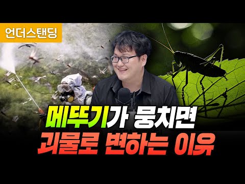 Why Locusts Gather to Become Monsters (by Insect Expert Galoa)