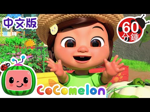 秋收炖菜 | 大合集 | 經典熱門兒歌 | Kids Song | 動畫 | 童謠 | 儿童学习 | 卡通片 | CoComelon 中文 | Nursery Rhymes