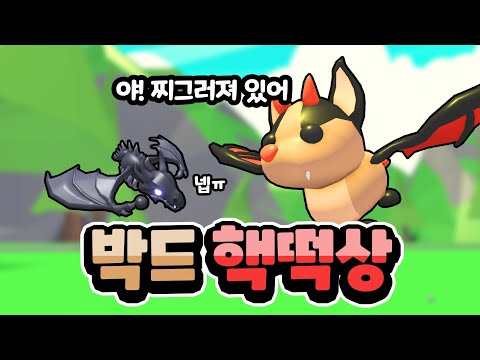 요즘 박드 왜 이래요? | 입양하세요