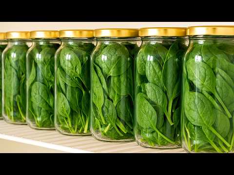 Stop freezing spinach! Here's a chef's secret to keeping spinach fresh for months.