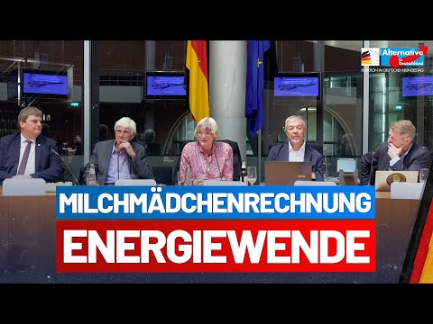 Vortragsabend Milchmädchenrechnung Energiewende - AfD-Fraktion im Bundestag