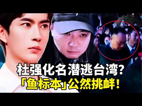 于朦胧案震惊内幕！杜强化名潜逃台湾？启皓艺术馆「鱼头标本」藏红色权贵黑幕，孙德荣警告「交通事故」！真相烧向政治风暴！