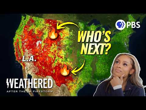 I Know Why LA Burned (And Why It WILL Happen Again)