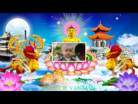 BUDDHA MUSIC BEST OF