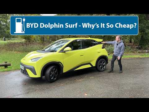 BYD Dolphin Surf - What's Wrong With It???