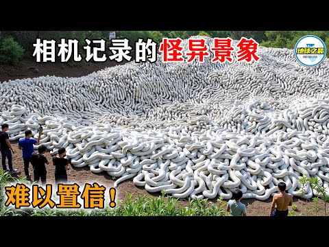 15个让你怀疑眼睛的实拍镜头！物理定律当场失效，最后一个预示灾难将至？丨地球之最#冷知识 #排名 #世界之最#地球之最top#世界之最top#自然现象#惊人发现#最惊人的#top10#top15