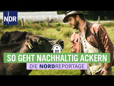 Die Agrarrebellen vom Haidehof stehen für regenerative Landwirtschaft | Die Nordreportage | NDR