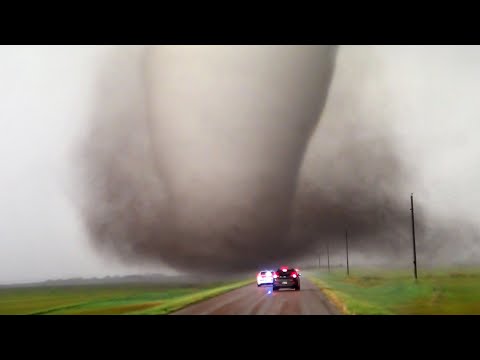 Craziest Nature Videos of the Decade