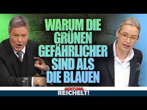 Wenn man AfD und Grüne mal ehrlich vergleicht, dann... | Achtung, Reichelt! vom 16.12.24