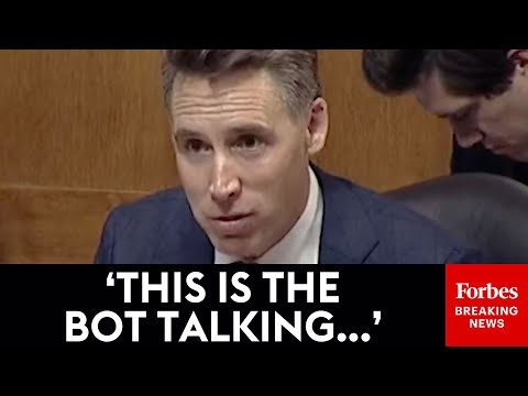 'Let Me Just Read That Again': Hawley Reads Shocking Actual Conversation Between AI Chatbot & Child