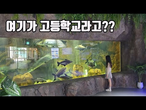 These days, high school classes are amazing. They made a real aquarium inside the school. It's un...