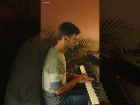 Take a break with relaxing piano music & birds chirping 😴 #relaxingmusic #relaxingpianomusic