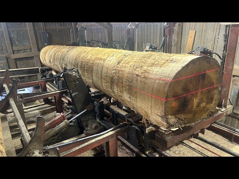 An Hour of Saw-Milling the Most Popular Poplar!! #201