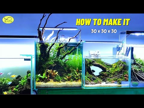 How to create a natural themed aquascape for beginners
