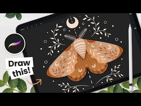 How To Draw A Magical Moth in Procreate β’ Digital Art Tutorial