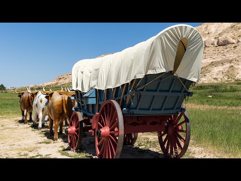 Messed Up Things That Happened On The Oregon Trail Marathon
