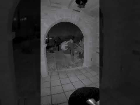 Nancy Guthrie disappearance: FBI releases video of masked intruder tampering with camera at her home