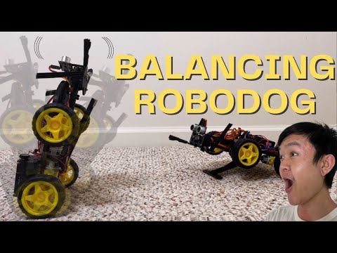 Building and Training a Robot Dog