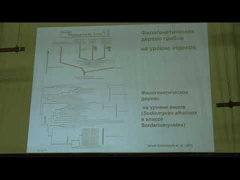 Кураков А. В. - Низшие растения. Микология - 1. Микология - наука о грибах