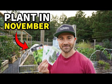 You'll Regret NOT Planting These 10 Crops In November RIGHT NOW!
