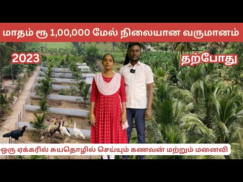 Poultry farming that gives a stable income of more than Rs 1,00,000 per month | AMS Peruvidai far...