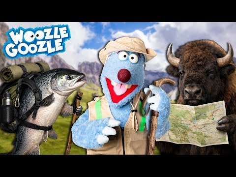 Warum wandern Tiere von Ort zu Ort? l WOOZLE GOOZLE