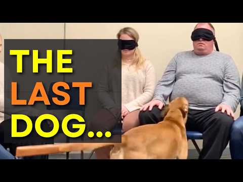 We Let Dogs Pick Their Families on Adoption Day And THIS Happened 😢