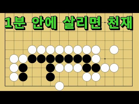 바둑 묘수 사활 - 천재적인 응수타진이 있습니다. 흑을 살려보세요.