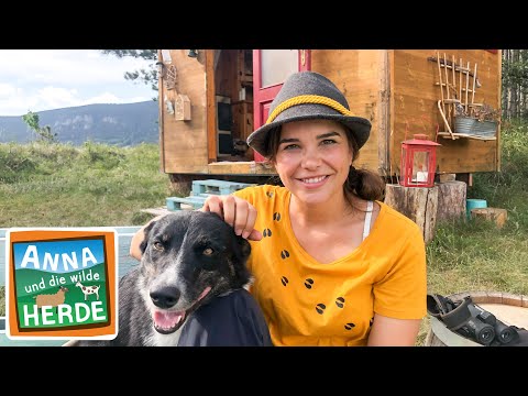 Spaziergang mit dem Wolf | Reportage für Kinder | Anna und die wilde Herde | 02