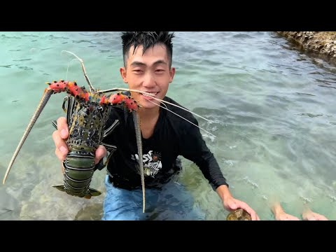 海島冒險生存60天全集!靠野生仙人掌果維持生存,廢物利用用破漁網抓到大貨【探索兄弟】