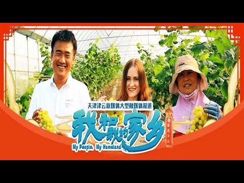 【我和我的家乡@最美乡愁】第02期 东丽区 胡张庄村丨‘’金土地‘’ ‘’摇钱树‘’ ‘’领红包‘’ ......乌克兰美女由衷赞叹：简直太羡慕这里了！