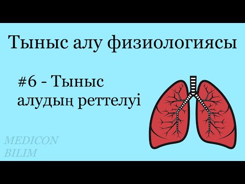Тыныс алудың реттелуі | Физиология | курсқа тіркелу👇