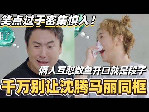 千万别让沈腾马丽同框！俩人数鱼互怼笑死个人！开口就是段子笑点太密集！#沈腾 #马丽 #向往的生活 #搞笑