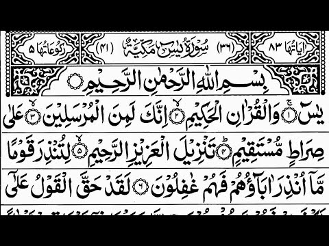 Surah Yasin (Yaseen) Full | سورۃ یس  ☘️ Surah Yasin Full | Best Quran |  Recitation | Episode 160