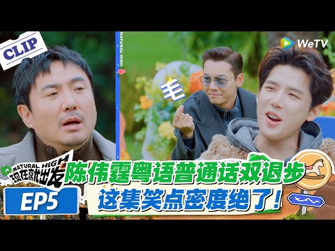 现在就出发 第3季 EP5：陈伟霆粤语普通话双退步！这集笑点密度绝了！#现在就出发S3 #沈腾 #白敬亭 #王安宇 #金晨 #范丞丞