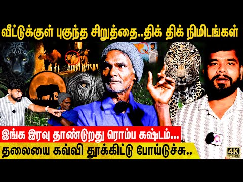 திடீரென புகுந்த காட்டுமிருகங்கள்.,தலைதெறிக்க ஓடி தப்பித்த  Anchor & Camara Man | Valparai Night Life