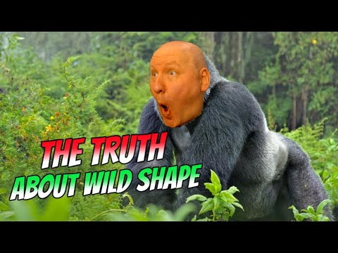 Wild Shape in Dnd 5.5 2024