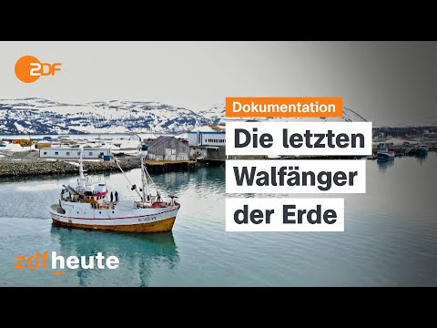 Norwegian whalers on the hunt | planet e