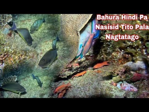 Episode 505 dive 2 bahura Hindi Pa Nasisid  dito Pala Nagtatago night spearfishing Philippines