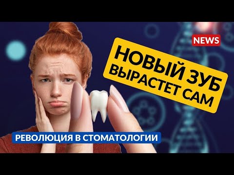 СТОМАТОЛОГИ БОЛЬШЕ НЕ НУЖНЫ? Открыт ген, запускающий рост новых зубов! И другие техно-новости