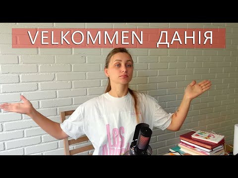 Who will Denmark accept in 2025 / Who should not go / Integration conditions in Denmark